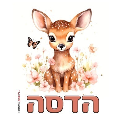 %d7%91%d7%a7%d7%91%d7%95%d7%a7-4